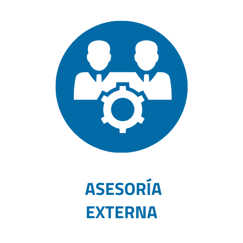 SERVICIOS ITEM ASESORÍA EXTERNA